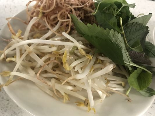 Ảnh 7