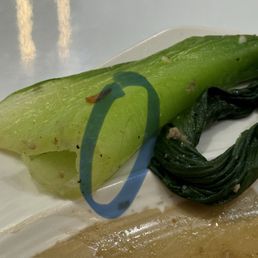 Ảnh 16