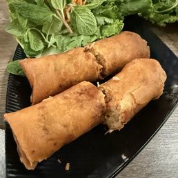 Ảnh 11