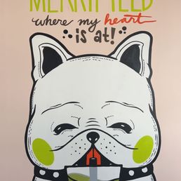 Ảnh 12