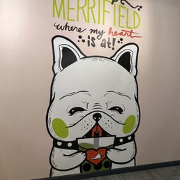 Ảnh 7