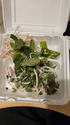 Ảnh 8