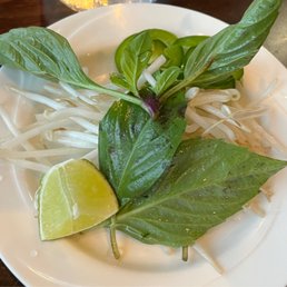 Ảnh 7