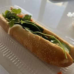 Ảnh 11