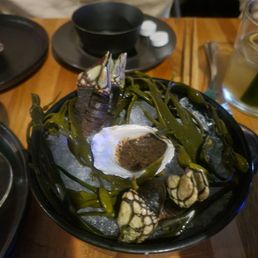 Ảnh 14