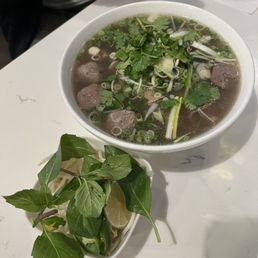 Ảnh 5