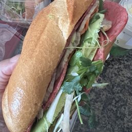 Ảnh 12