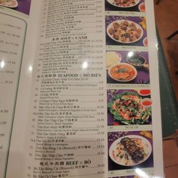 Ảnh 16