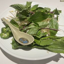 Ảnh 16