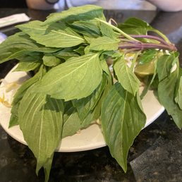 Ảnh 10