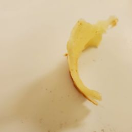 Ảnh 12