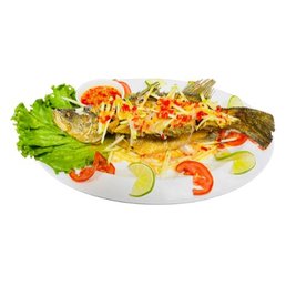 Ảnh 7