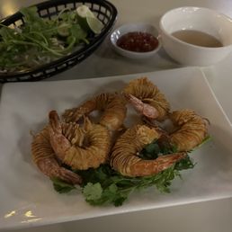 Ảnh 5