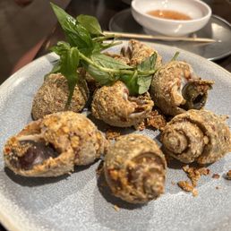 Ảnh 17