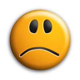 Ảnh 5