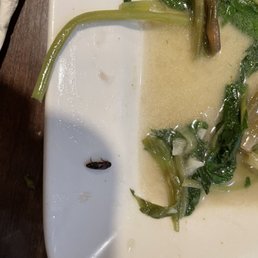 Ảnh 9