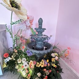 Ảnh 19