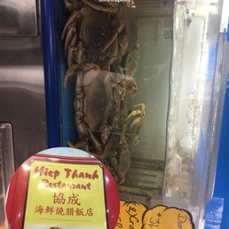 Ảnh 7