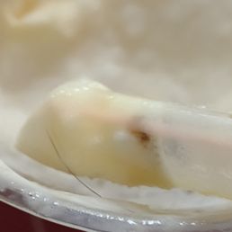 Ảnh 20