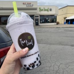 Ảnh 12