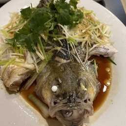 Ảnh 8