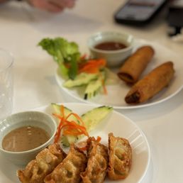 Spring Rolls