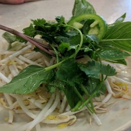 Pho Soup