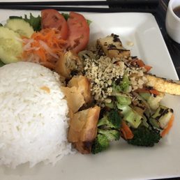 Vegetarian Rice Plates