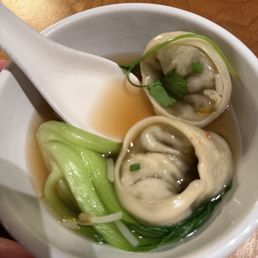 Dumpling Soup