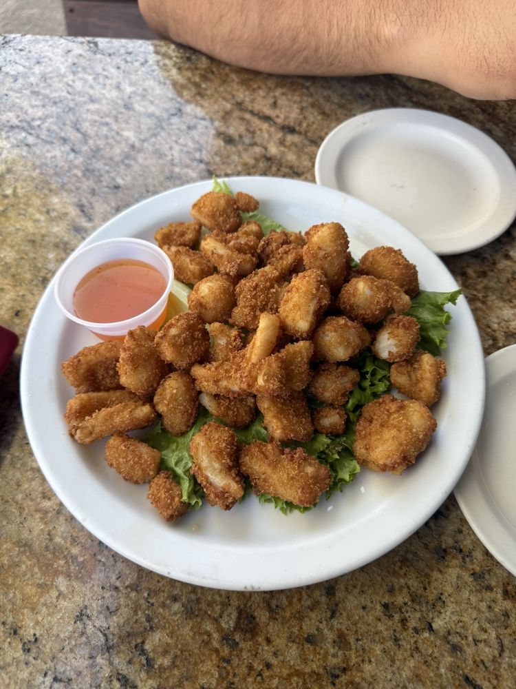Fried Calamari