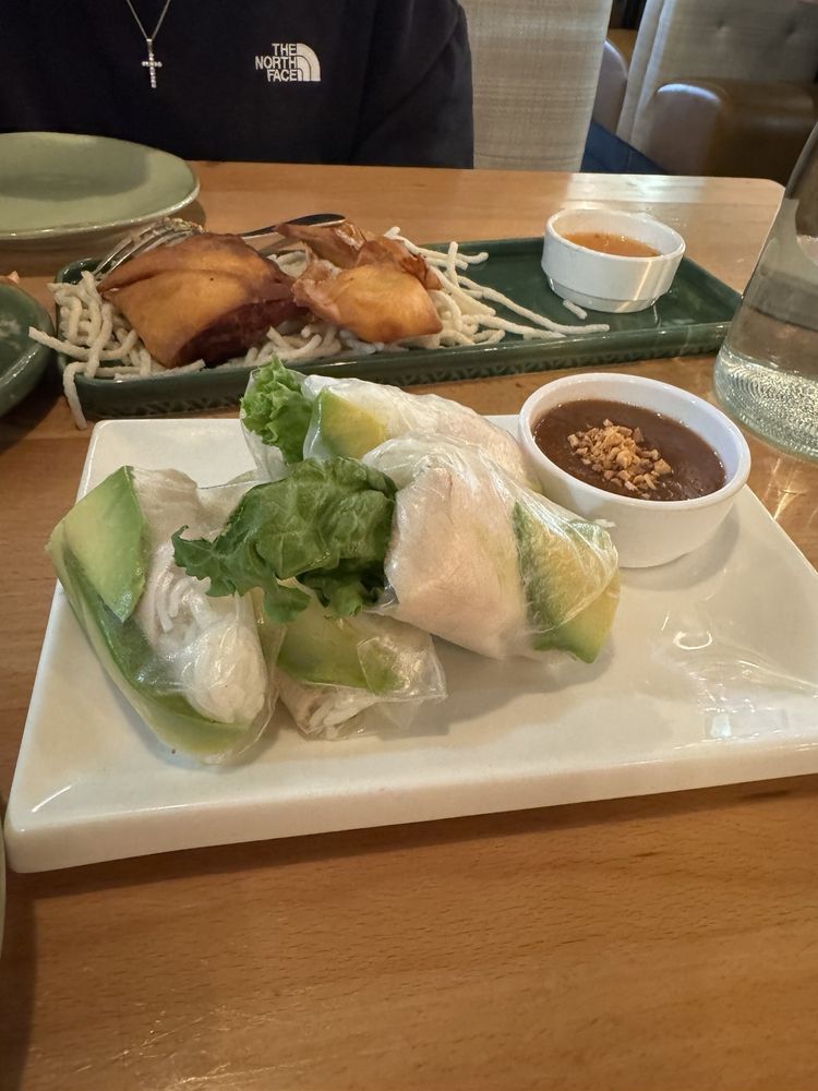 Avocado Spring Rolls