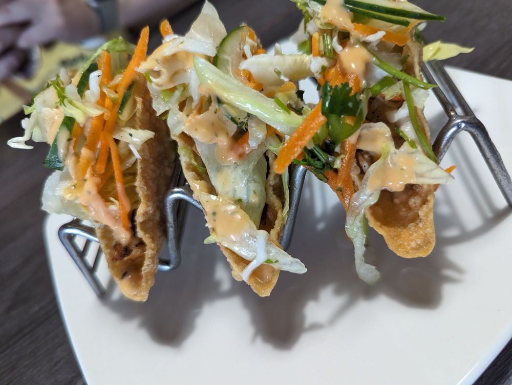 Crispy Wonton Tacos