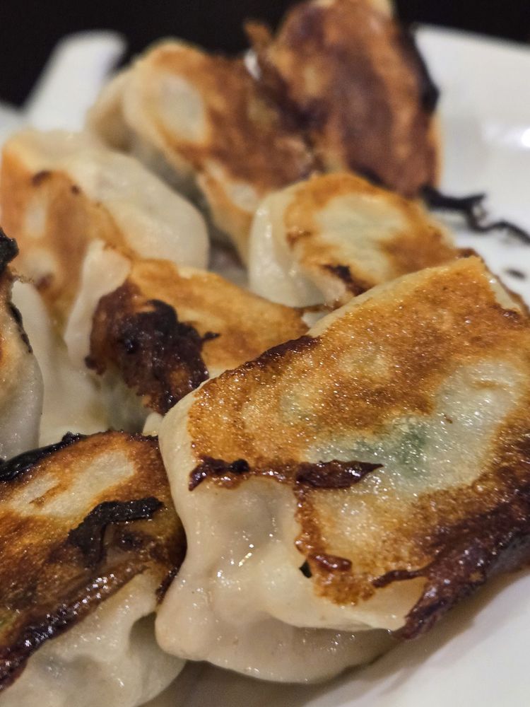 Vegetarian Pan Fried Dumplings