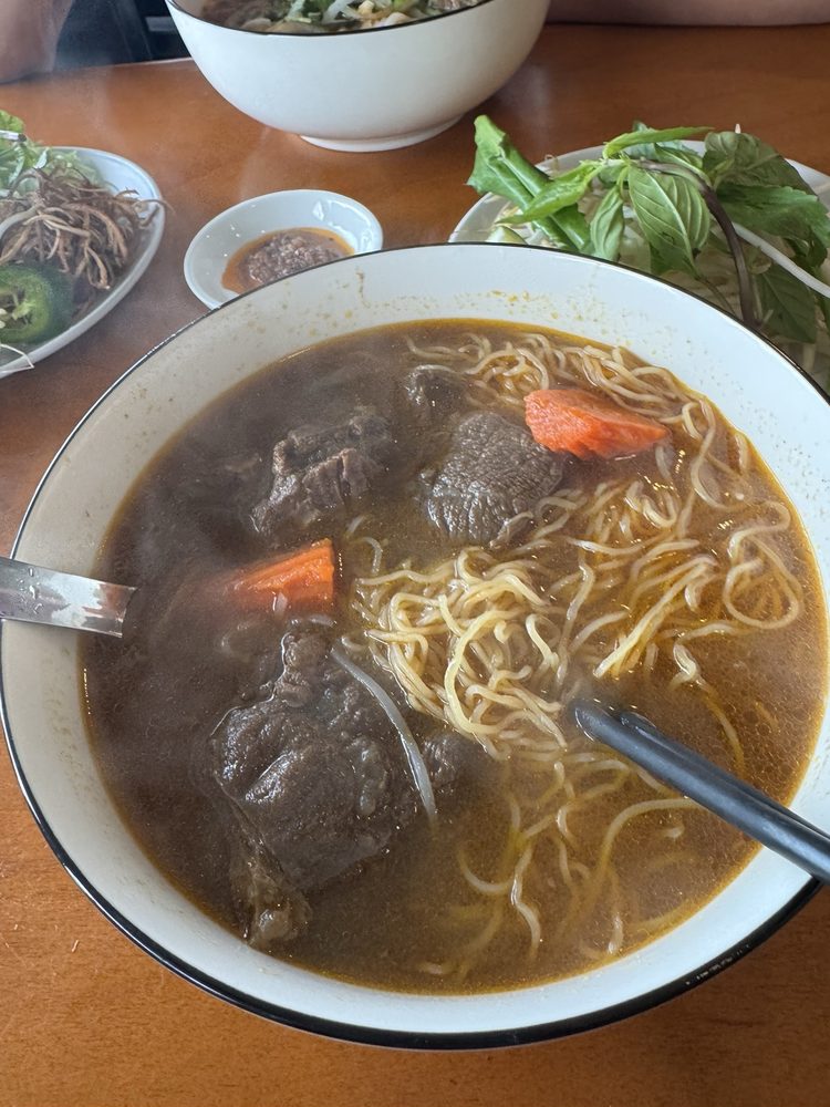 Hủ Tiu Hoặc Mì Hoặc Bánh Mì Bò Kho - Beef Stew
