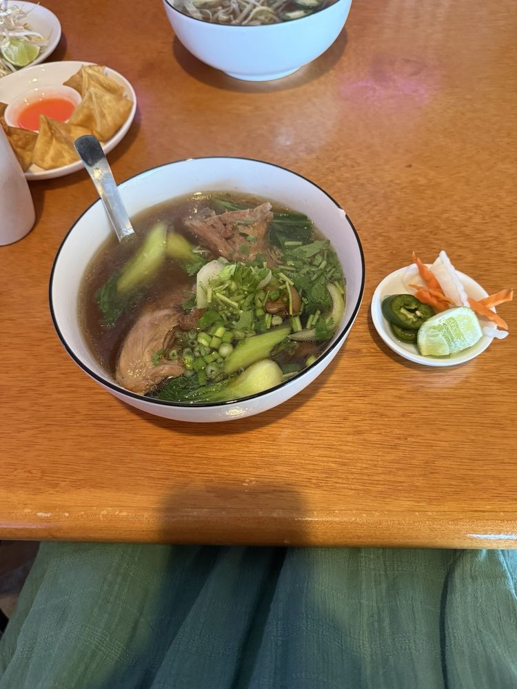 Hủ Tíu Hoặc Mì Vịt Tiềm - Herbal Duck Soup