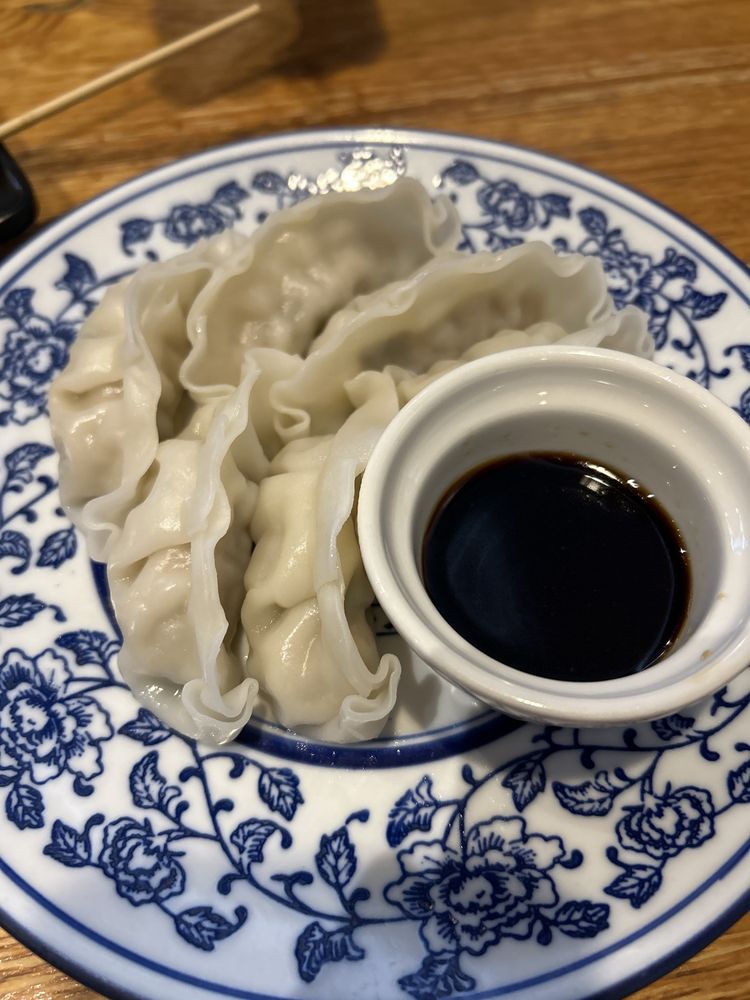 Pork Dumpling / 豬肉水餃