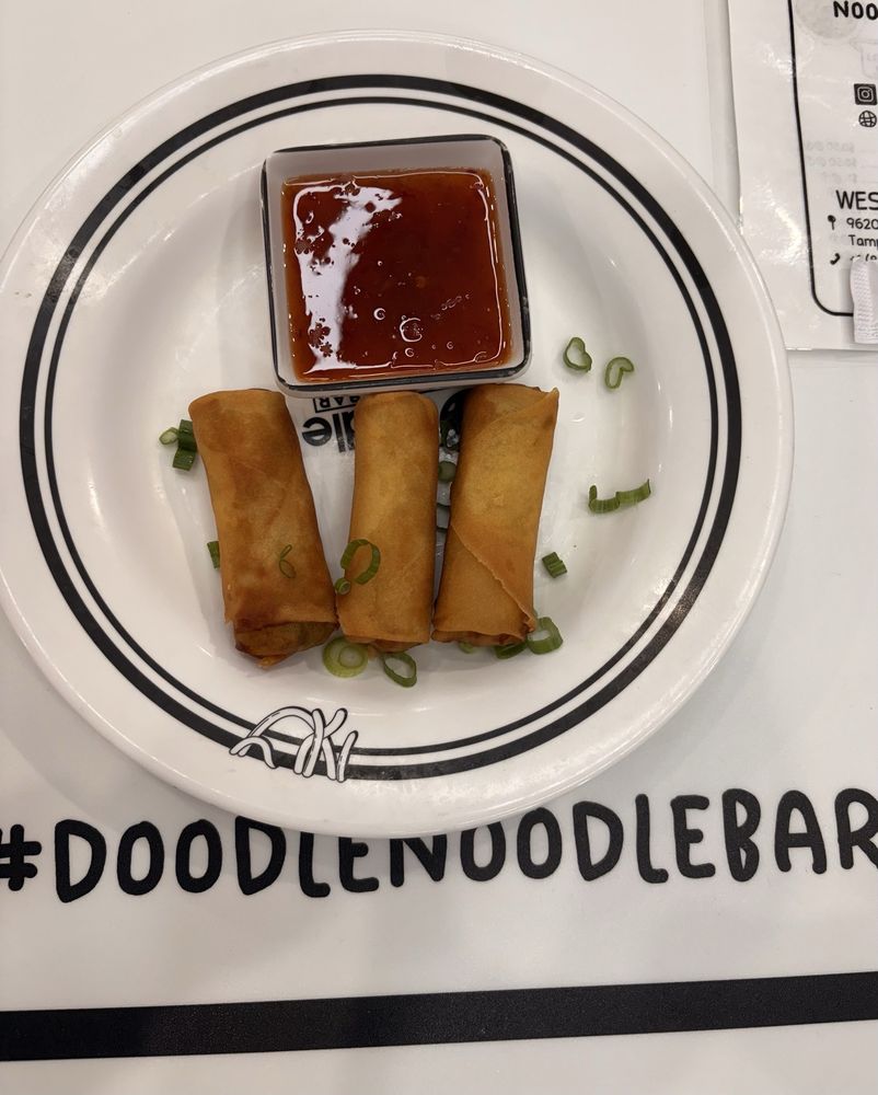 Fried Veggie Spring Rolls