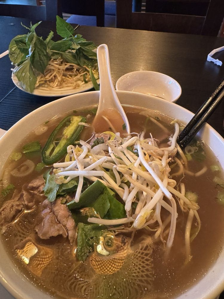 Sliced Beef and Meatballs Noodle Soup