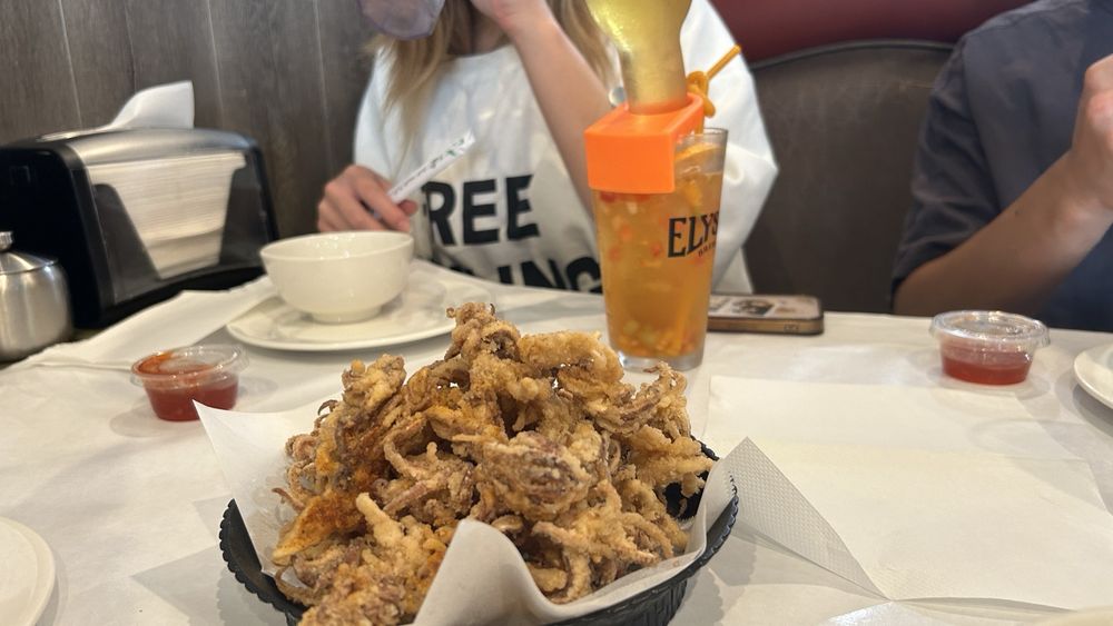 Fried Calamari