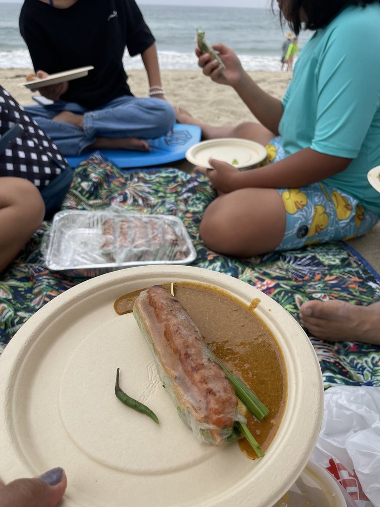 BBQ Pork Spring Rolls