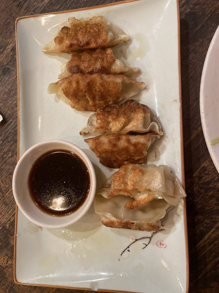 Fried Pork Dumplings