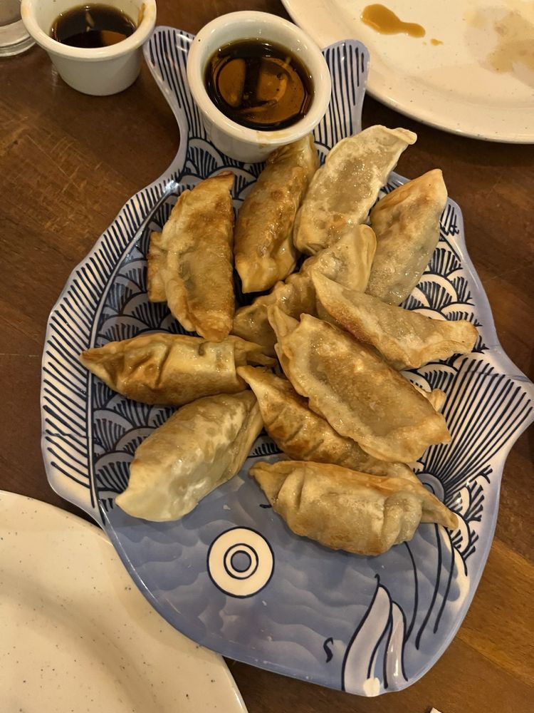 Pan Fried Chicken Dumplings
