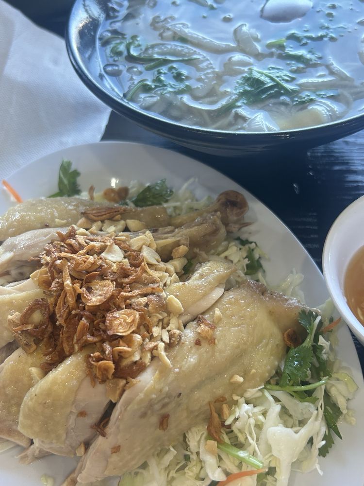 Steamed Chicken Noodle Soup