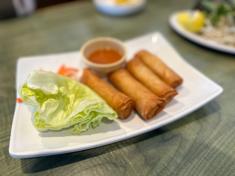 Spring Rolls
