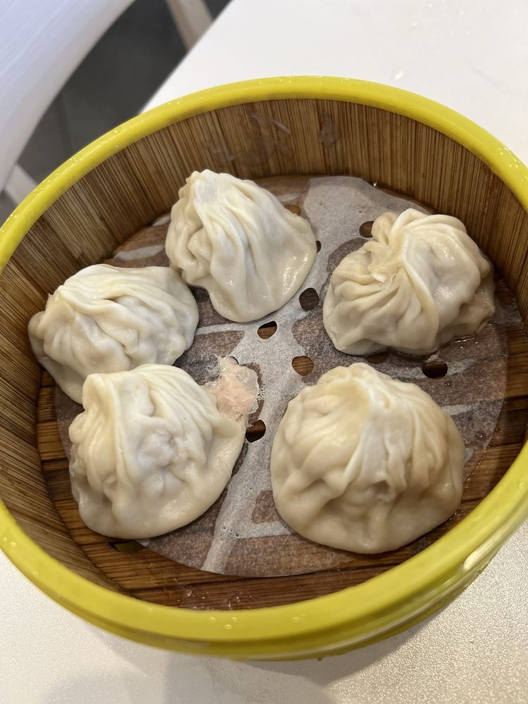 Juicy Pork Dumplings