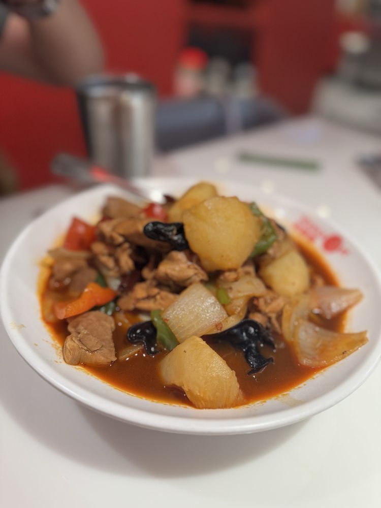 Savory Braised Chicken Noodle