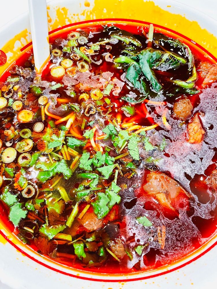 Spring Cold Noodle with Round Noodles