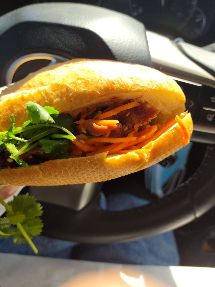 Vietnamese Beef Stew/ Phở/bánh Mì Bò