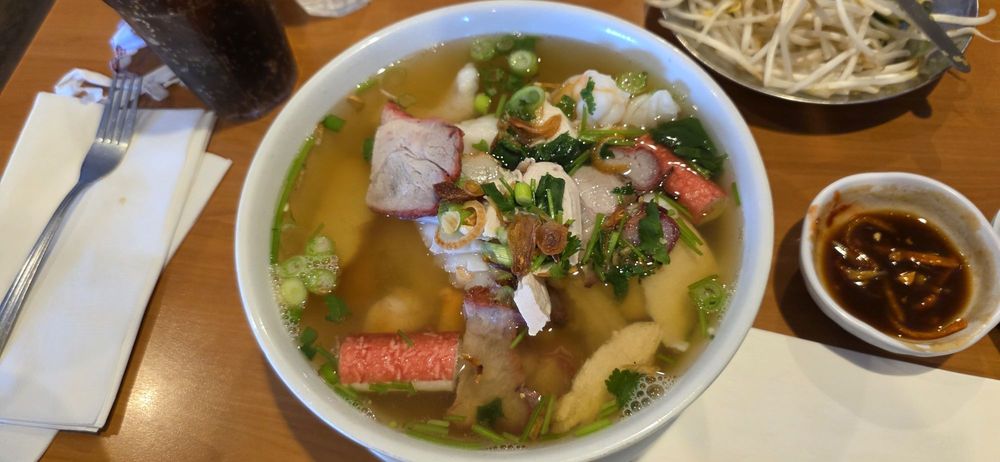 South Eastern Asia Noodle Soups