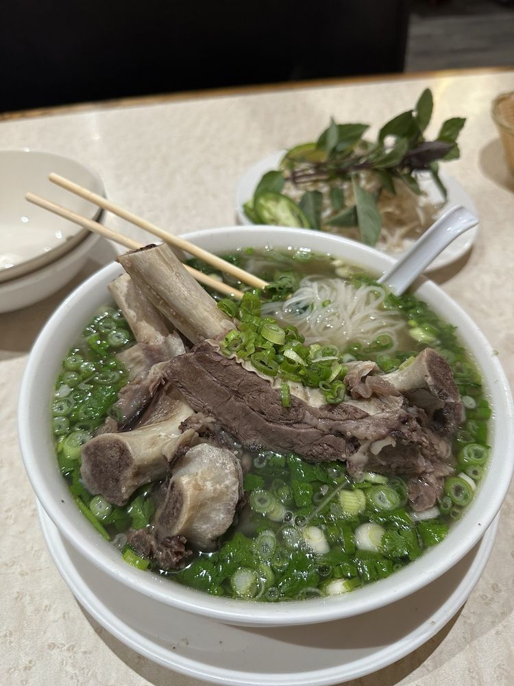 Beef Rib Pho